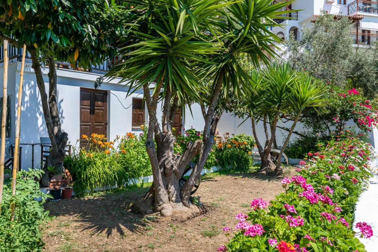 Ourania Apartment Skopelos Town Ngoại thất bức ảnh
