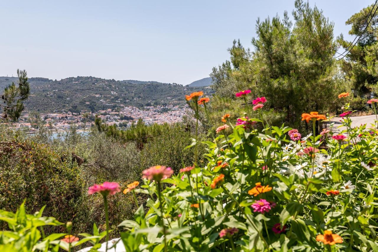 Ourania Apartment Skopelos Town Ngoại thất bức ảnh
